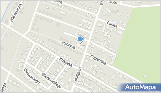 DPD Pickup Punkty, Artura Grottgera 27, Leszno 64-100, godziny otwarcia