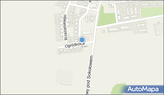 DPD Pickup Punkty, Ogródkowa 2, Września 62-300, godziny otwarcia