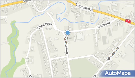 DPD Pickup Punkty, Kasztanowa 4, Sadki 89-110, godziny otwarcia