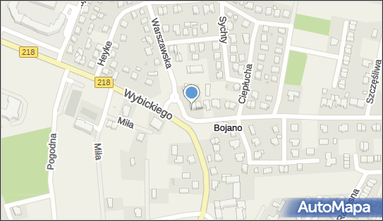 DPD Pickup Punkty, Gryfa Pomorskiego 1- automat paczkowy, Bojano 84-207, godziny otwarcia