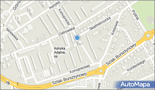 DPD Pickup Punkty, Marii Konopnickiej 19- automat paczkowy, Kalisz 62-800, godziny otwarcia