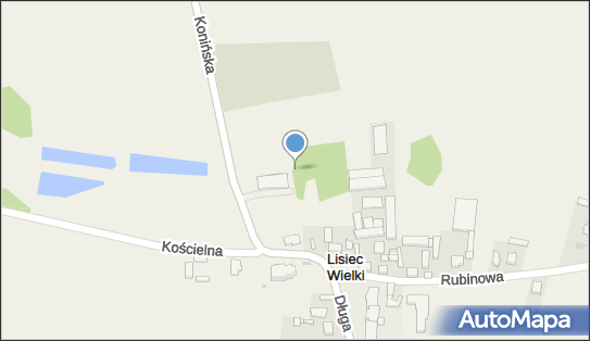 DPD Pickup Punkty, Konińska 2, Stare Miasto 62-571, godziny otwarcia