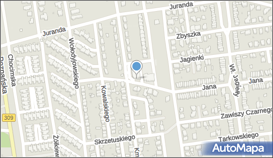DPD Pickup Punkty, Jana Kazimierza 1A, Leszno 64-100, godziny otwarcia
