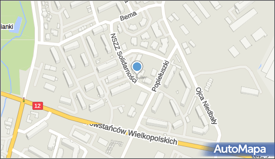 DPD Pickup Punkty, Solidarności 19, Jarocin 63-200, godziny otwarcia