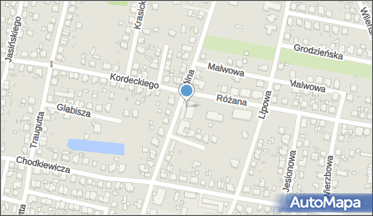 DPD Pickup Punkty, Okólna 13, Ostrów Wielkopolski 63-400, godziny otwarcia