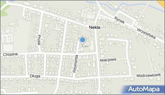 DPD Pickup Punkty, Chopina 45, Nekla 62-330, godziny otwarcia