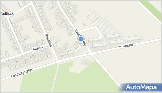 DPD Pickup Punkty, Wjazdowa 38A, Pudliszki 63-842, godziny otwarcia