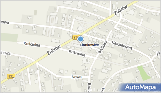 DPD Pickup Punkty, Żubrów 80A, Jankowice 43-215, godziny otwarcia