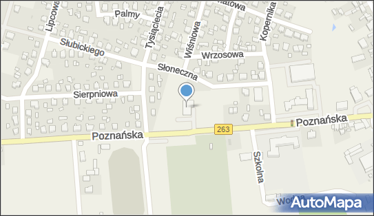 DPD Pickup Punkty, Poznańska 7D, Babiak 62-620, godziny otwarcia
