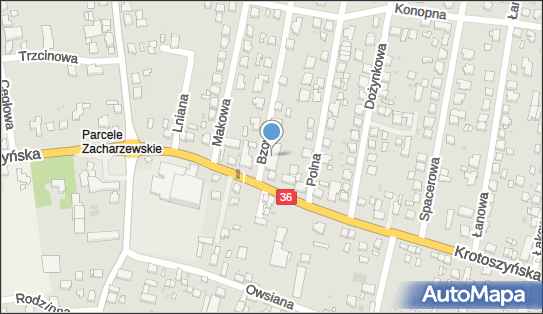 DPD Pickup Punkty, Bzowa 2, Ostrów Wielkopolski 63-400, godziny otwarcia