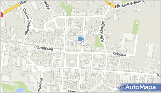 DPD Pickup Punkty, Rynek 8, Pleszew 63-300, godziny otwarcia