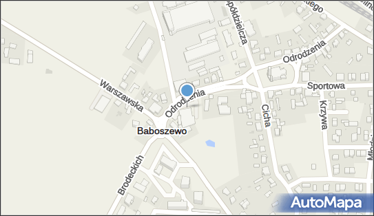 DPD Pickup Punkty, Odrodzenia 2A, Baboszewo 09-130, godziny otwarcia