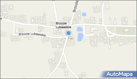 DPD Pickup Punkty, Brzozie Lubawskie 36, Kurzętnik 13-306, godziny otwarcia