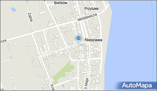 DPD Pickup Punkty, Sienkiewicza 3, Nieszawa 87-730, godziny otwarcia