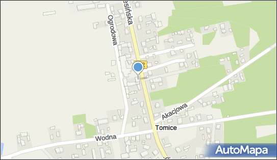DPD Pickup Punkty, Wrzesińska 34, Tomice 63-308, godziny otwarcia