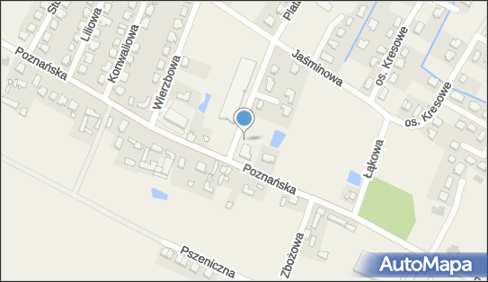 DPD Pickup Punkty, Poznańska 148, Kamionki 62-023, godziny otwarcia