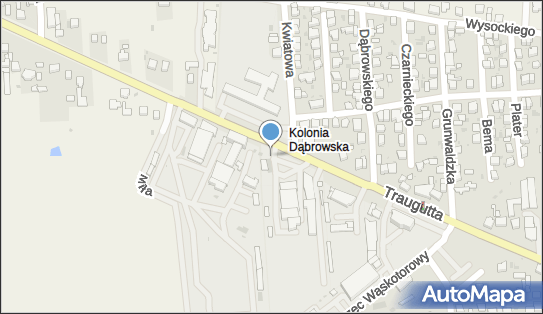 DPD Pickup Punkty, Traugutta 51, Wieluń 98-300, godziny otwarcia