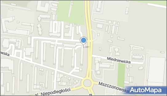 DPD Pickup Punkty, Mszczonowska 49 - automat paczkowy, Skierniewice 96-100, godziny otwarcia