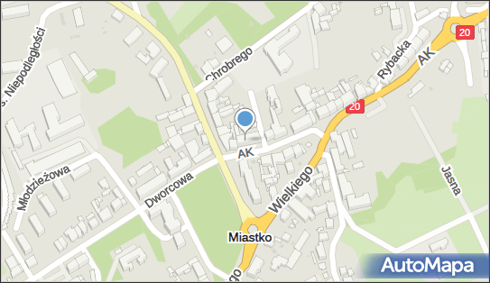 DPD Pickup Punkty, Armii Krajowej 29, Miastko 77-200, godziny otwarcia
