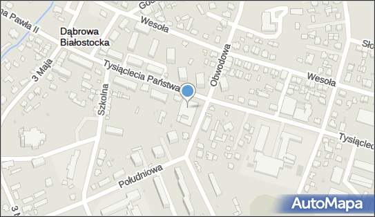 DPD Pickup Punkty, 1000-Lecia Państwa Polskiego 12 16-200, godziny otwarcia