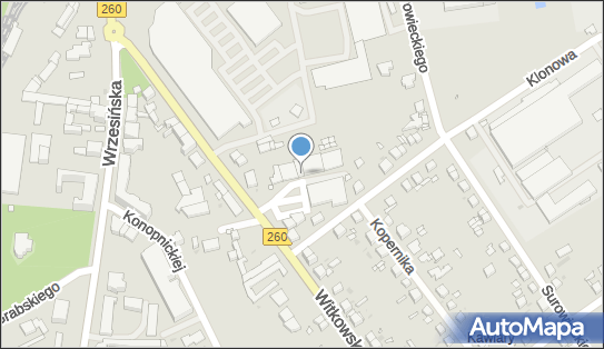 DPD Pickup Punkty, Witkowska 11, Gniezno 62-200, godziny otwarcia