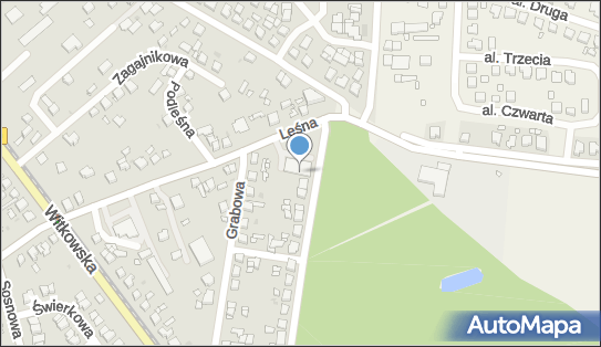 DPD Pickup Punkty, Leśna 1, Gniezno 62-200, godziny otwarcia