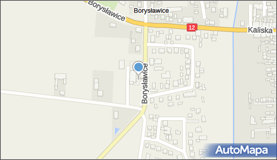 DPD Pickup Punkty, Borysławice 75A, Błaszki 98-235, godziny otwarcia