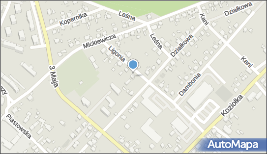 DPD Pickup Punkty, Ligonia 14, Krapkowice 47-303, godziny otwarcia