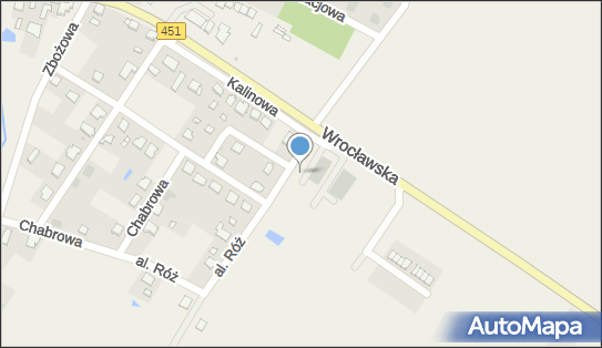 DPD Pickup Punkty, Wrocławska 44, Wilków 46-113, godziny otwarcia