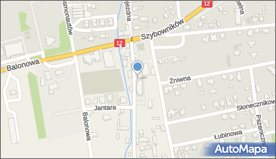 DPD Pickup Punkty, Lotnicza 5, Strzyżewice 64-100, godziny otwarcia
