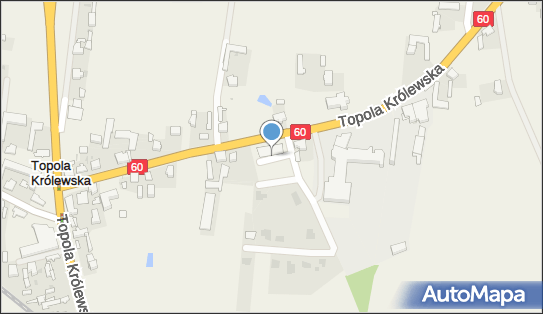 DPD Pickup Punkty, Topola Królewska 62A, Topola Królewska 99-100, godziny otwarcia