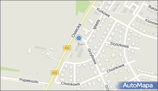 DPD Pickup Punkty, Grzybowa 2, Leszno 64-100, godziny otwarcia