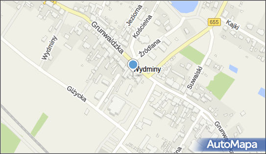 DPD Pickup Punkty, Grunwaldzka 74, Wydminy 11-510, godziny otwarcia