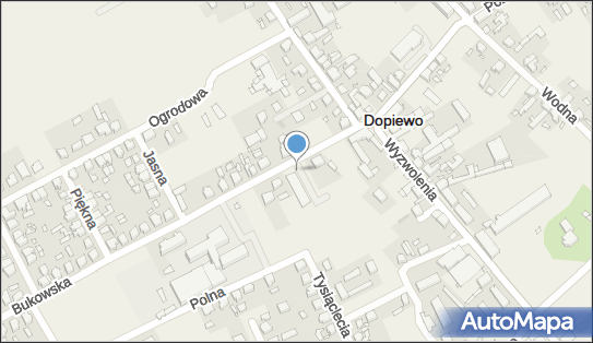 DPD Pickup Punkty, Bukowska 9, Dopiewo 62-070, godziny otwarcia