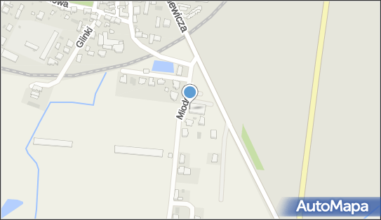 DPD Pickup Punkty, Miodowa 3, Folwark 63-900, godziny otwarcia