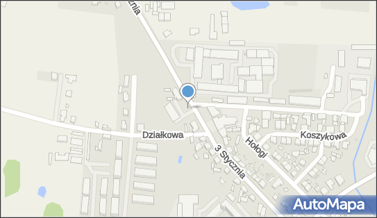 DPD Pickup Punkty, 3 Stycznia 77A, Nowy Tomyśl 64-300, godziny otwarcia