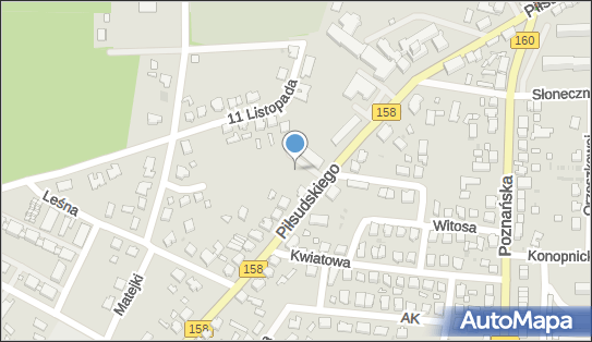 DPD Pickup Punkty, Piłsudskiego 10A, Drezdenko 66-530, godziny otwarcia