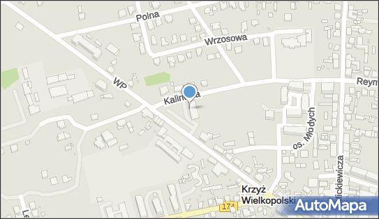 DPD Pickup Punkty, Kalinowa 9, Krzyż Wielkopolski 64-761, godziny otwarcia