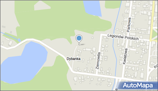 DPD Pickup Punkty, ZIEMOWITA 9, Gostynin 09-500, godziny otwarcia