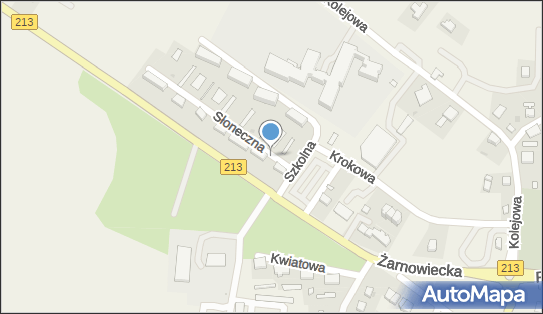 DPD Pickup Punkty, Kolejowa 21, Krokowa 84-110, godziny otwarcia