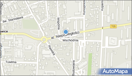 DPD Pickup Punkty, Al. Niepodległości 6, Skierniewice 96-100, godziny otwarcia