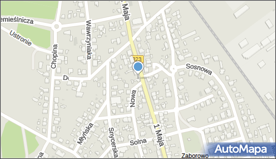 DPD Pickup Punkty, 1 Maja 50, Leszno 64-100, godziny otwarcia