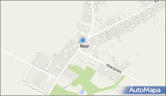 DPD Pickup Punkty, Kasztanowa 16A, Bucz 64-234, godziny otwarcia