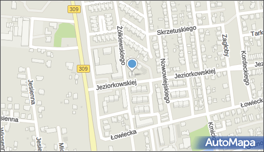 DPD Pickup Punkty, Jeziorkowskiej 3, Leszno 64-100, godziny otwarcia