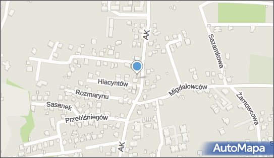 DPD Pickup Punkty, Armii Krajowej 336A lok. 1, Katowice 40-750, godziny otwarcia