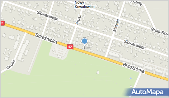 DPD Pickup Punkty, Brzeźnicka 52, Radomsko 97-500, godziny otwarcia