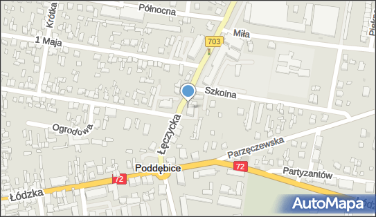 DPD Pickup Punkty, Łęczycka 7, Poddębice 99-200, godziny otwarcia