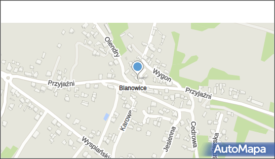 DPD Pickup Punkty, Przyjaźni 98, Zawiercie 42-400, godziny otwarcia