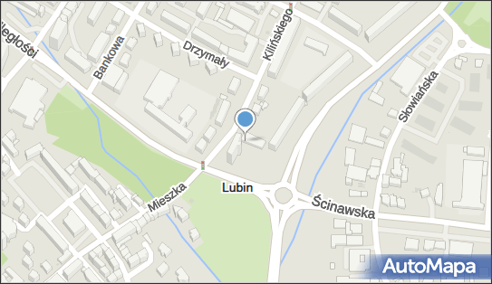 DPD Pickup Punkty, Kilińskiego 11, Lubin 59-300, godziny otwarcia
