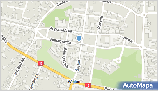 DPD Pickup Punkty, Plac Legionów 6, Wieluń 98-300, godziny otwarcia
